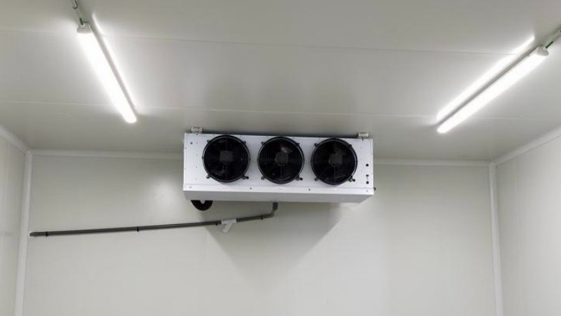 Cámaras de temperatura negativa